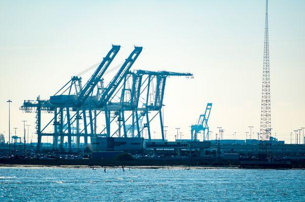 The view of Port of Oakland from Royal Coffee's Offices