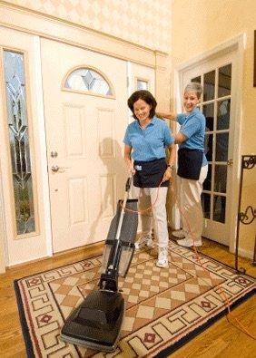 Alexandria Domestic Services