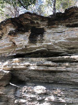 Yellow Rock trail