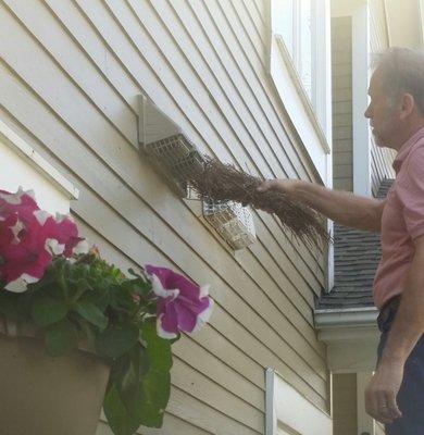 Birds LOVE Dryer Vents!