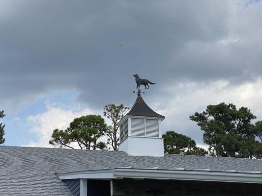 Puppy weather vane