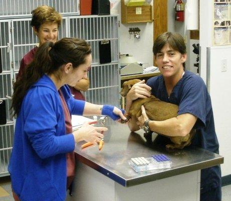 Washington Park Veterinary Clinic