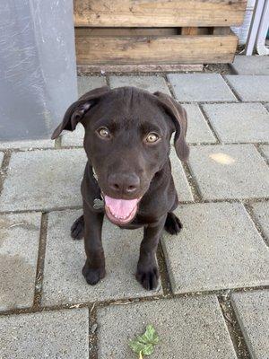 Molly enjoyed the car buying process too!