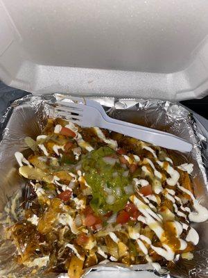 Carne asada fries