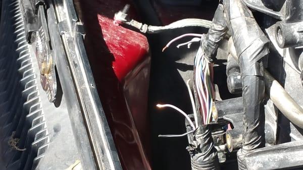 This is why electrical problems can be so complicated. This is just a small batch of wires in a vehicle...