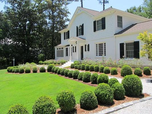 Formal Boxwood and Rose Garden in Buckhead Atlanta