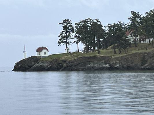 Near Turn Point Lighthouse--so many eagles here