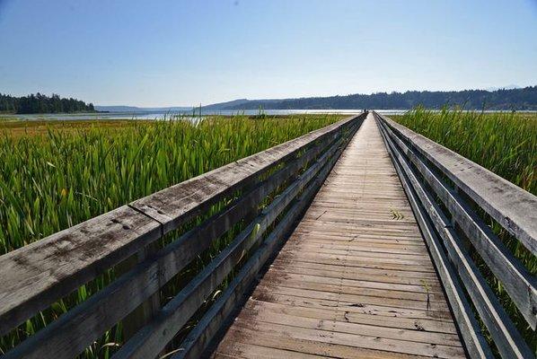 South Tidal Marsh Trail goes all the way to Hood Canal.