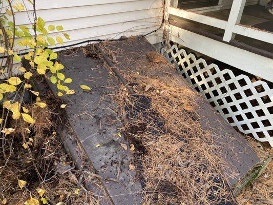 Gutter cleanings dumped all over house and yard