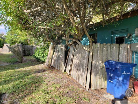 Now the fence leans against the tree that is supposed to be gone.