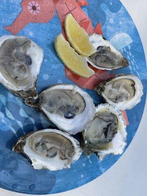 Oysters