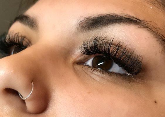 Hybrid Lashes