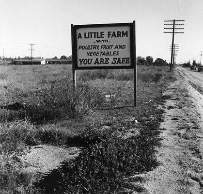 Dorothea Lange