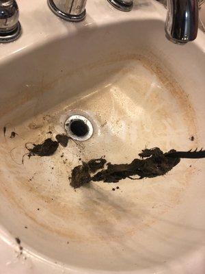 This was the culprit, a large clog of mostly hair, a common problem in bathroom sinks. We were happy to handle it.