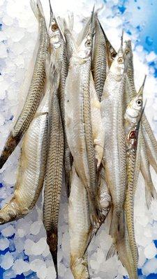 Pajaritos, halfbeak fish