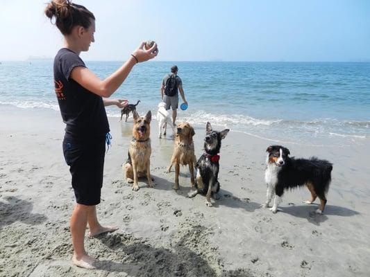 Beach Day Adventure