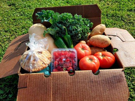 Family owned and operated micro farm in Hendersonville, NC.  Specializing in CSA, farmers markets, and restaurant sales.