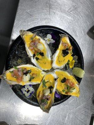 Oyster a cevichadas