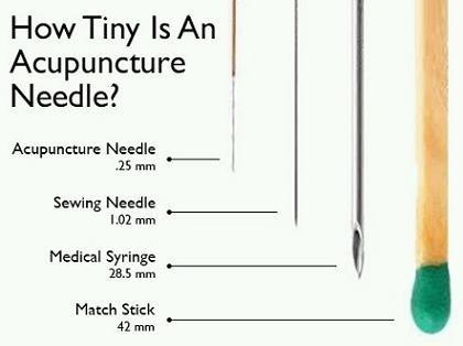 See how small the acupuncture needle is compared to other things we call needles.