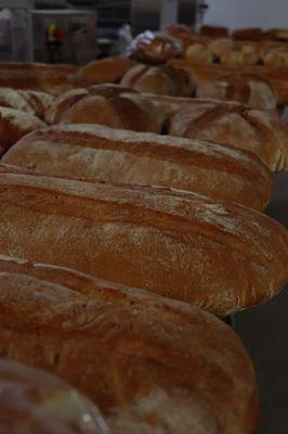 Our different types of bread freshly out the oven