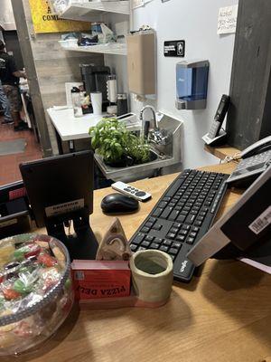 Plants in their sink