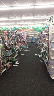 Dollar Tree