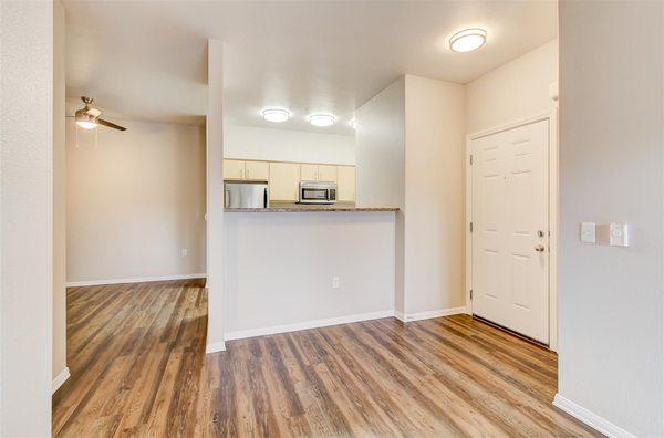 Newly renovated apartment homes!