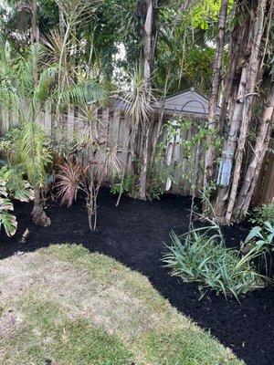 Black Mulch install