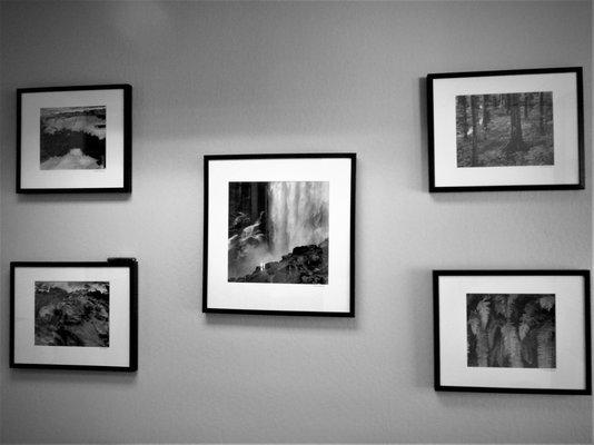 Here are some B&W photos from a local artist which hang in our rehab room.