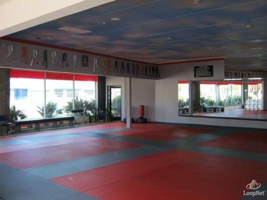 Tae Kwon Do Training floor