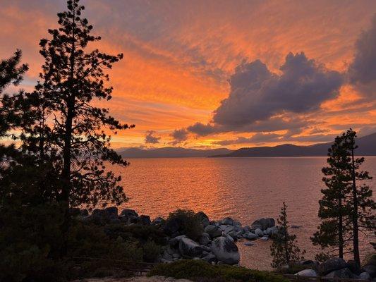 Lake Tahoe Shakespeare Festival