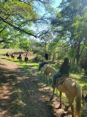 Trail Ride