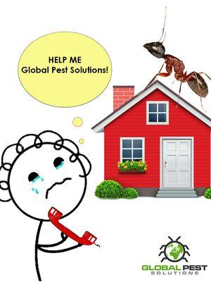 Global Pest Solutions