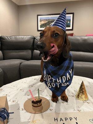 He a absolutely loved his peanut butter cake