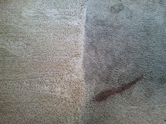 knoxville Tn Carpet Cleaners