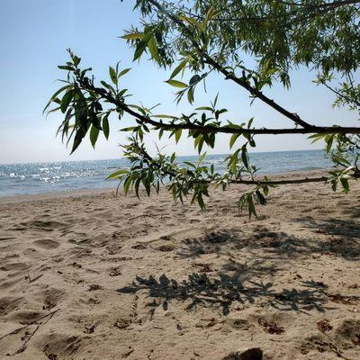 Harrington Beach State Park