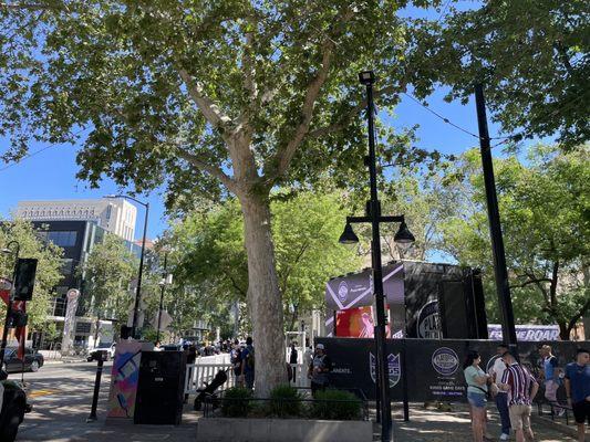 Street view at Downtown Sacramento