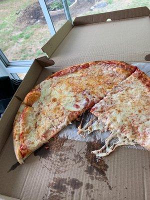 Large cheese not terrible but under cooked, no crisp just your average townie pizza. Wouldn't recommend it pretty much have to be black out