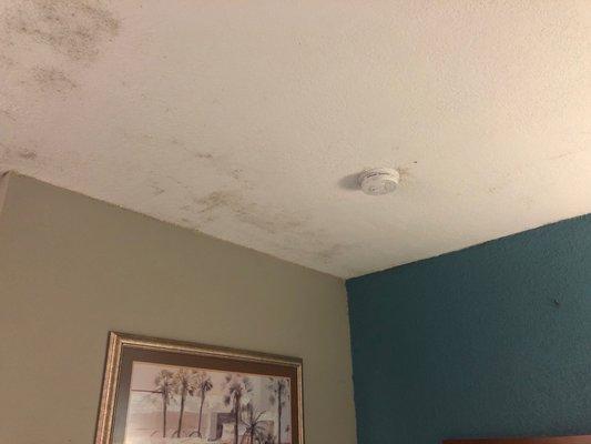 More mold on the ceiling