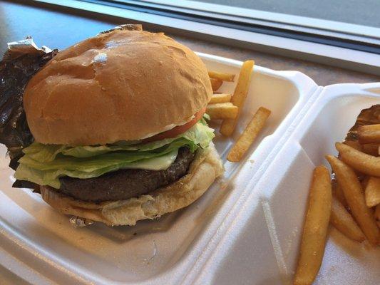 Cheeseburger is huge! Fries are great...