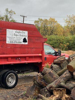 Eagle Eye Tree Service