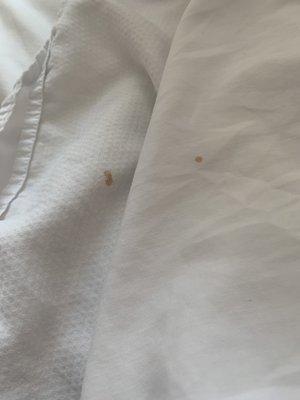 These small stains were on the sheet and duvet cover!!