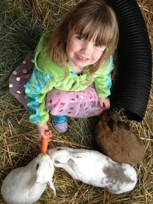 Feeding rescue bunnies!