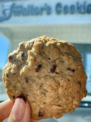 Oatmeal chocolate chip cookie