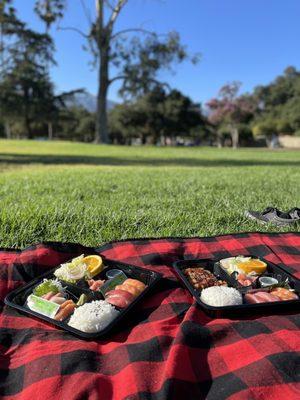 Picnic time!