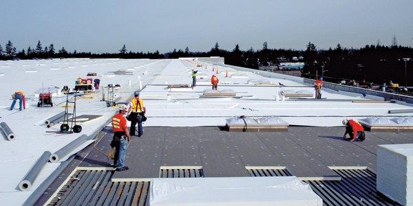 Commercial Flat Roof Company of Chicago