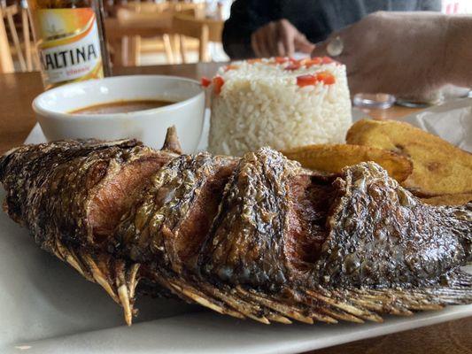 Tilapia fish meal