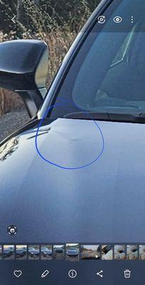 Precision Dents/ Paintless dent repair