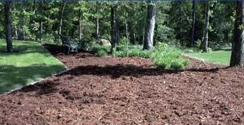 Felger's Peat Moss