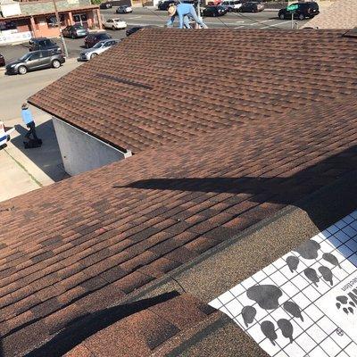 Best roofing service!